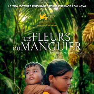 Photo Les Fleurs du manguier