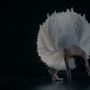 Photo Swan Song : Un nouveau "Lac des cygnes"