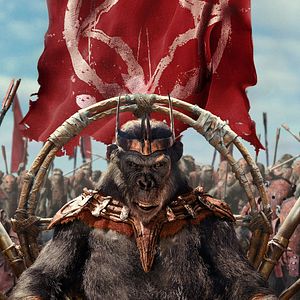 Photo La Planète des Singes : Le Nouveau Royaume