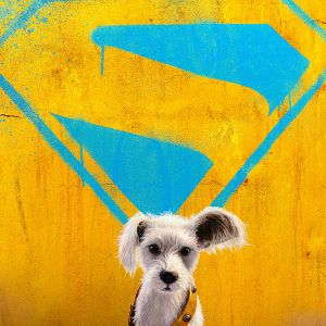 Photo Supergirl