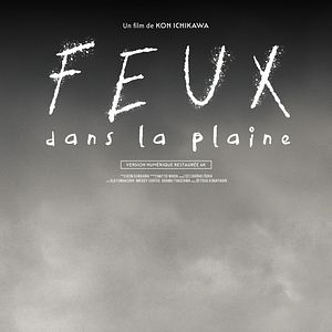 Photo Feux dans la plaine