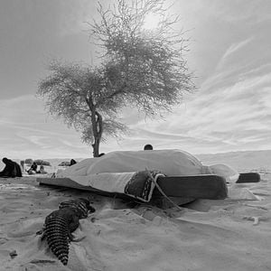Photo Artou