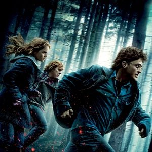 Photo Harry Potter et les reliques de la mort - partie 1