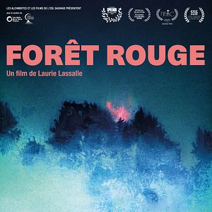 Photo Forêt Rouge