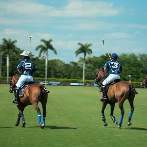 Photo Polo