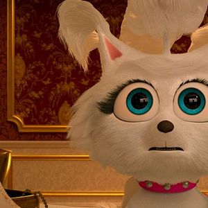 Photo Les Chiens à l'Opéra