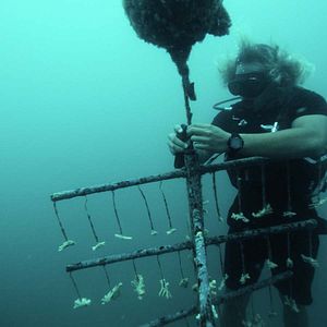 Photo Titouan, les enfants du corail