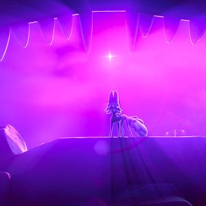 Photo Une nuit au zoo