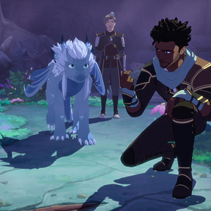 Photo Le Prince des dragons
