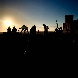 Photo Le Bonheur est une bête sauvage