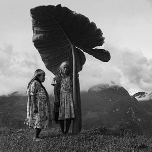 Photo Gods of Mexico