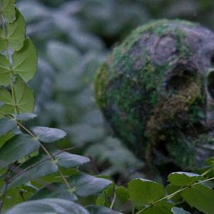 Photo Douglas Smith (III)