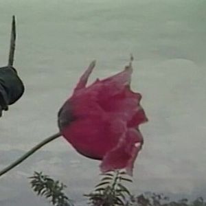 Photo La Feuille sacrée