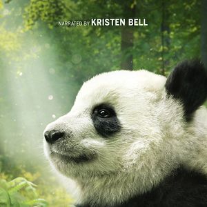 Photo Pandas