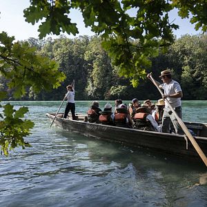 Photo Kogis, ensemble pour soigner la Terre