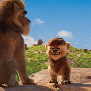 Photo Petit Panda en Afrique