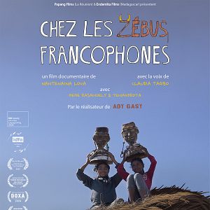 Photo Sitabaomba, Chez les zébus francophones