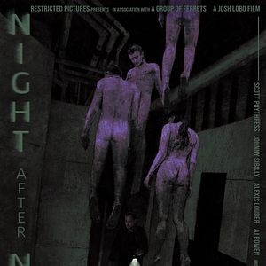 Photo Night After Night