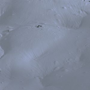 Photo Pacheû