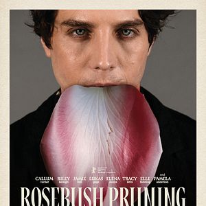 Photo Rosebush Pruning