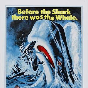Photo Moby Dick