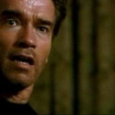 Photo Arnold Schwarzenegger