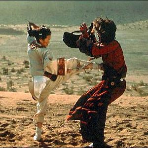 Photo Tigre et dragon