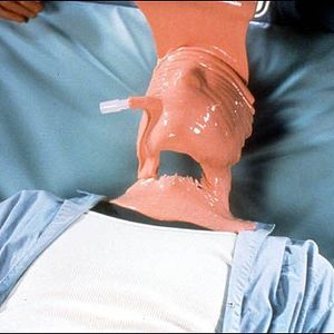 Photo Hollow Man, l'homme sans ombre