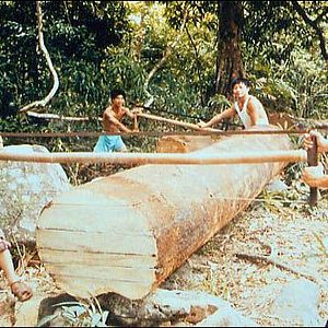 Photo Les Coupeurs de bois