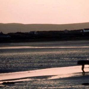 Photo Séduction à l'irlandaise