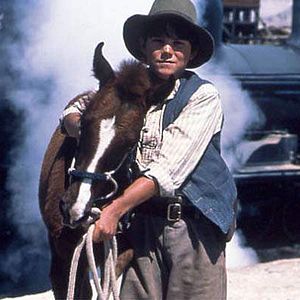 Photo Crinière au vent, une âme indomptable