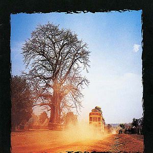 Photo Circus Baobab