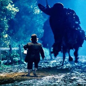 Photo Le Seigneur des anneaux : la communauté de l'anneau