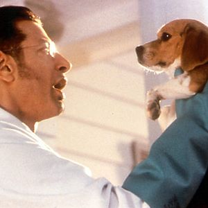 Photo Lawrence Guterman