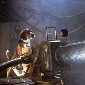 Photo Lawrence Guterman