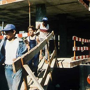 Photo António-Pedro Vasconcelos