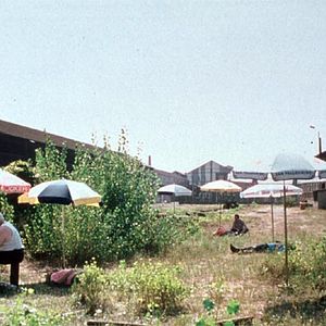 Photo Ce vieux rêve qui bouge