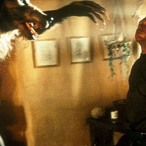 Photo Dog Soldiers