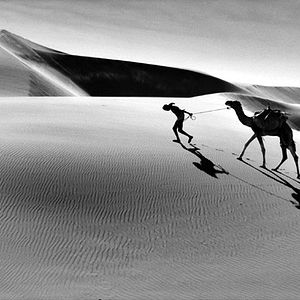 Photo Un Homme sans l'Occident