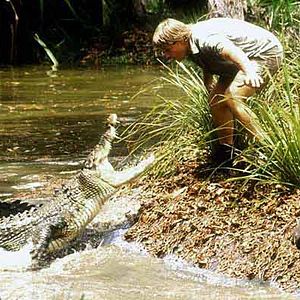 Photo Traqueur de croco en mission périlleuse