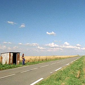Photo Peau de vache