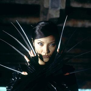 Photo Kelly Hu