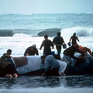 Photo Paï : l'élue d'un peuple nouveau