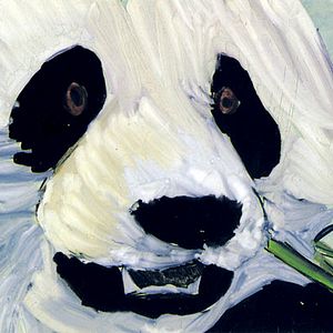 Photo Lucinda Clutterbuck