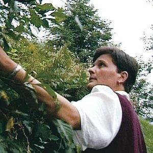 Photo Laurent Bécue-Renard