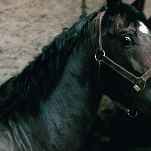 Photo Emilie Deleuze