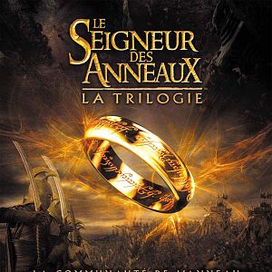 Le Seigneur des anneaux : les deux tours : Affiche