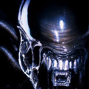 Photo Alien vs. Predator