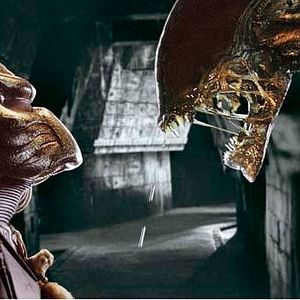 Photo Paul W.S. Anderson