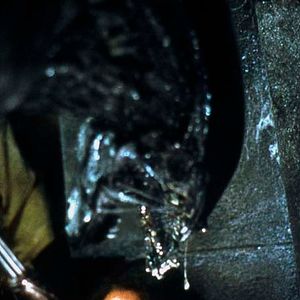 Photo Paul W.S. Anderson